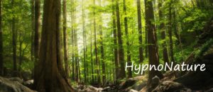 Lire la suite à propos de l’article HypnoNature – Ressourcement en forêt