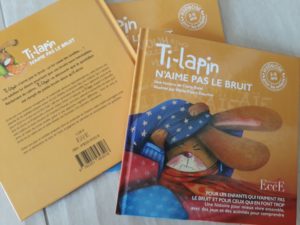 Lire la suite à propos de l’article Formation histoires dites therapeutiques dimanche 01 mars