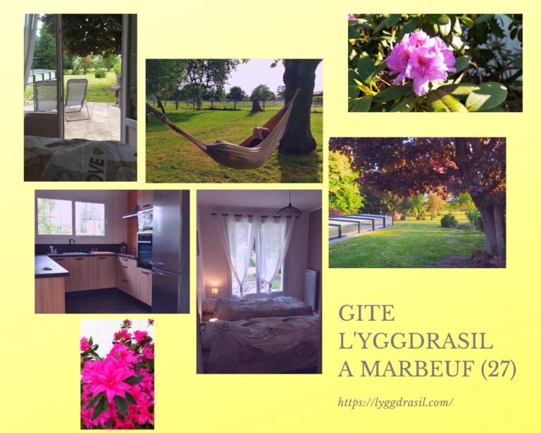 png 20220522 215559 0000 768x614