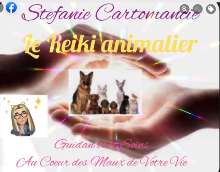 4628B4D3 0070 47F0 BCC3 6470BE617C67 768x600