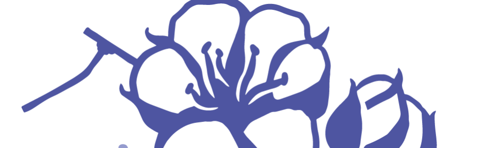 Image de bannière d’utilisateur/utilisatrice