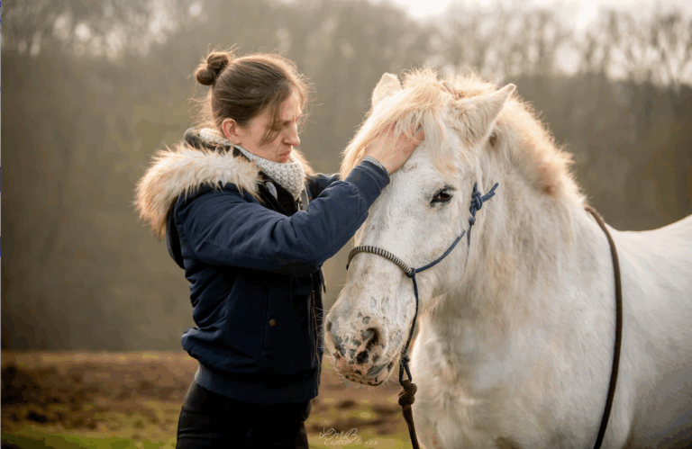 Capture decran 2025 12 01 a 10.00.04 768x499