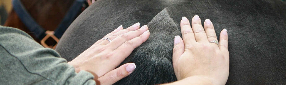 Image de bannière d’utilisateur/utilisatrice