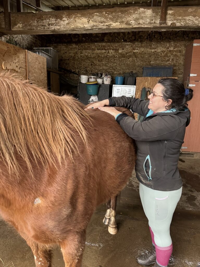 83DF3E0D 9FD7 4877 8EED A252028BBFD6 768x1024